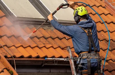 Démoussage et hydrofuge de toiture à Doucelles